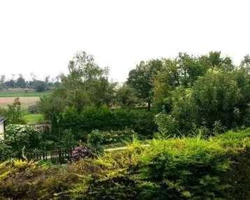 Blick auf einen grünen Gartenbereich mit Hecken und Bäumen, dahinter Felder.