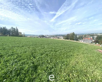 Weitläufige grüne Landschaft mit Blick auf eine entfernte Ortschaft unter blauem Himmel.