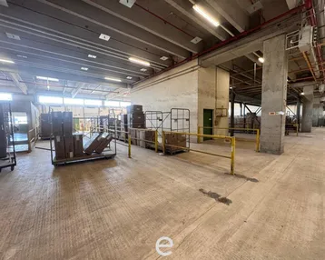 Geräumige Lagerhalle mit Betonboden, hohen Decken und industrieller Beleuchtung, bereit für den Betrieb.