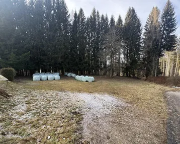 Weitläufiges Außengelände mit Nadelbäumen und gelagerten Heuballen, teilweise mit Schnee bedeckt.