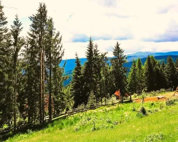 Grüne Wiesen und hohe Nadelbäume prägen die idyllische Landschaft mit Bergblick unter einem bewölkten Himmel.