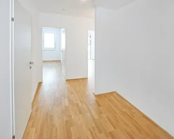 Heller Flur mit weiß gestrichenen Wänden und modernem Laminatboden, der zu weiteren Räumen führt.