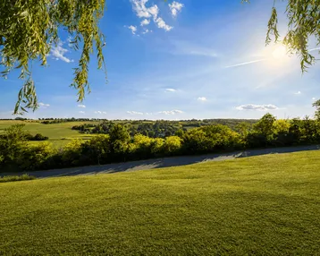 Sonnige Landschaft mit grünen Feldern und Bäumen unter blauem Himmel, umrahmt von Weidenzweigen.