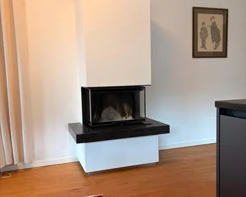 Moderner Kamin im Wohnbereich mit Holzboden und einem traditionellen Teppich.