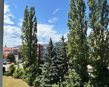 Weitläufiger Blick vom Balkon auf hohe Bäume und die Umgebung.