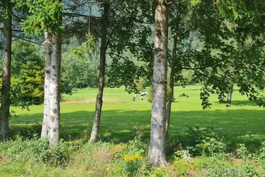 schönes, ruhiges Grundstück am Golfplatz