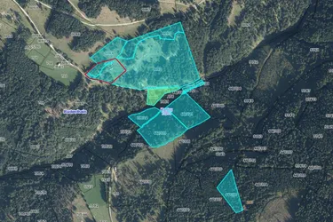 9ha Waldfläche in Kaning