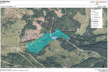4ha Waldfläche in Dornbach im Maltatal direkt an einem Bachlauf
