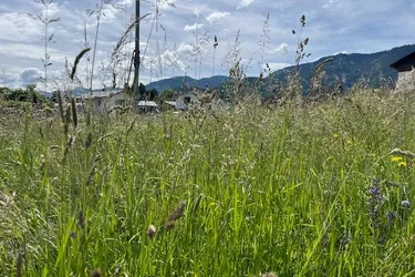 Sonniges Baugrundstück in Arnoldstein 775 m²