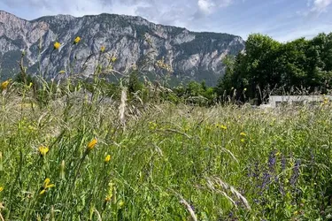 BAUGRUNDSTÜCK in absoluter Traumlage