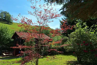 Naturparadies - Erholung pur in Prigglitz