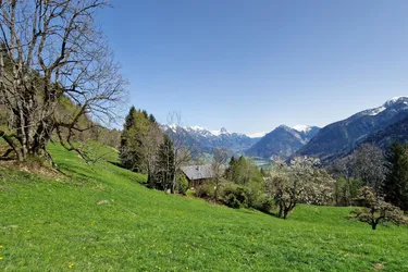 Grundstück mit Ferienhauswidmung zu verkaufen - 686m²