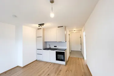 2 Zimmer Mietwohnung - Erstbezug
