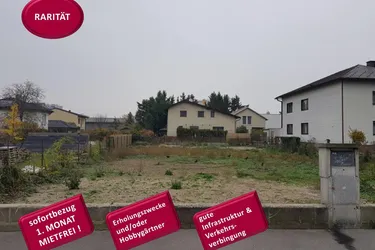 FÜR HOBBYGÄRTNER - 900 M² GRUNDSTÜCK IN SIEBENHIRTEN GANZJÄHRIG ALS GARTEN ZU VERMIETEN