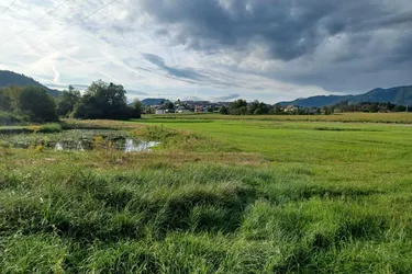 Schönes, ebenes Grundstück zur Freizeitgestaltung mit großem Teich, ca. 13.600 m² in Völkermarkt