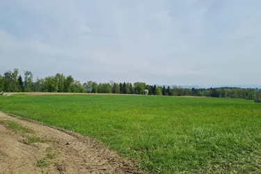 Landwirtschaftliche Nutzfläche in Klagenfurt-Ost, ca. 8000 m²