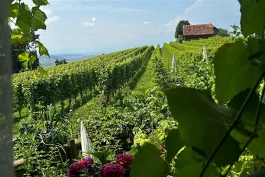 ZWEITWOHNSITZ GESUCHT? Nur 20 min. von der südsteirischen Weinstraße gelegen! Ihr Feriendomizil als Zweitwohnsitz in der Südsteiermark!