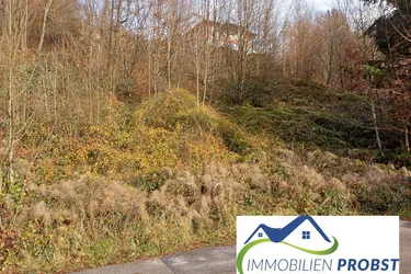Bad Ischl - Hanggrundstück in schöner, ruhiger Lage