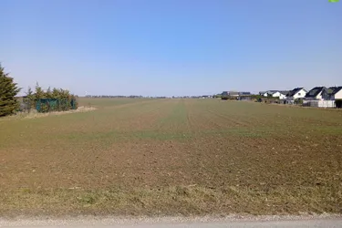 3 neue leistbare Baugrundstücke von 528 m2 - 613 m2 in Gänserndorf