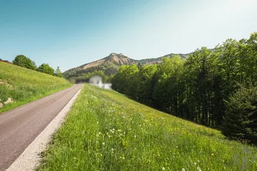 Baugrund in der wunderschönen Gaißau