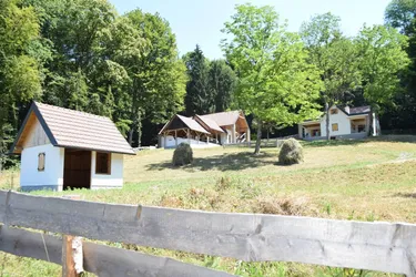 EINFAMILIENHAUS + NEBENGEBÄUDE MIT POOL IN ABSOLUTER RUHELAGE