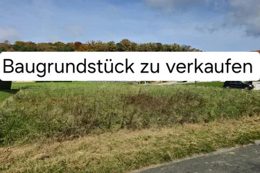 Ein schönes Grundstück in der Thermenregion Bad Waltersdorf zu verkaufen