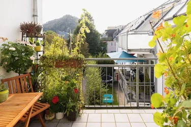 TOPLAGE IN ALTSTADTNÄHE Gepflegte, sonnige 4-Zimmer-Terrassen-Wohnung mit Grünblick