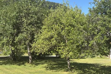 OBERASCH/HINTERSEE: Gemütliche 3-Zimmer-Gartenwohnung E3 in Holzbauweise, nur mehr wenige Garten-Wohnungen frei!