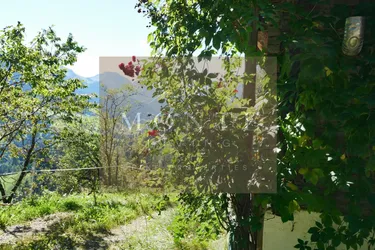 The Freedom--- FreizeitwohnsitzBerghütte zur Renovierung in absoluter Alleinlage