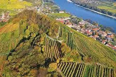 Wachau: einzigartiger kl. Weingarten in Aussichtslage - mit Betreuung