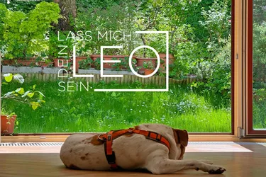 Ich will dein LEO sein