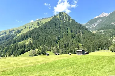 Traumhaftes Grundstück mit Weitblick - Natur, Ruhe &amp; Erholung
