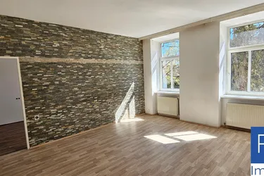 11 Bezirk Sanierungsbedürftige 3-Zimmer-Wohnung zum attraktiven Preis zu verkaufen € 169.000