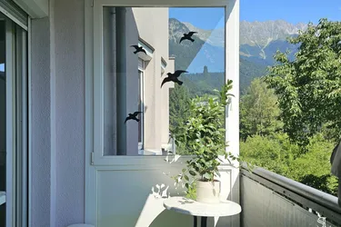 Schöne 3-Zi-Wohnung mit 2 Balkonen und TG-Abstellplatz in Innsbruck - Tiergartenstraße