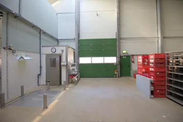 Produktions- und Lagerhalle - Teilflächen möglich - mit Kühlmöglichkeit