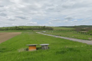 Baugrund zu verkaufen