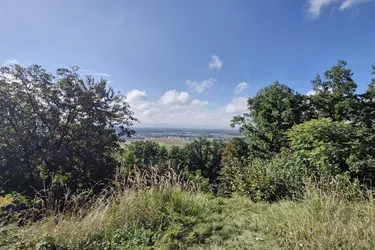 Wohnen mit Weitblick – Sechterberg 85, Feldkirchen an der Donau