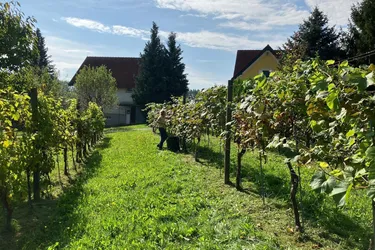 2 Baugrundstücke St. Anna am Aigen, Südsteiermark