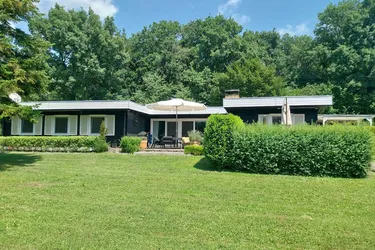 Liebe auf den ersten Blick! Mid-Century-Bungalow in sonniger Grünruhelage