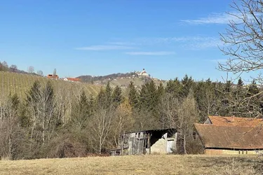 Sonniges Baugrundstück in sanfter Hanglage in wunderschöner Weinregion!