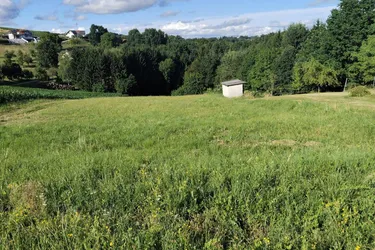 Sonniges Grundstück mit Wiese und Wald in Ruhelage in der Thermenregion!