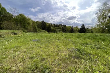 Baugrundstück in Sinabelkirchen - Ruhig, sonnig &amp; zentrumsnah