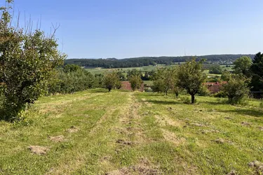 Landwirtschaftliche Fläche mit Obstbaukulturen ca. 1,2 ha zu verkaufen.