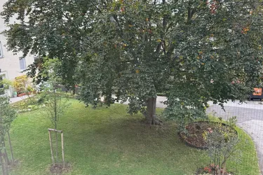 Wohnung mit Potenzial zu verkaufen 