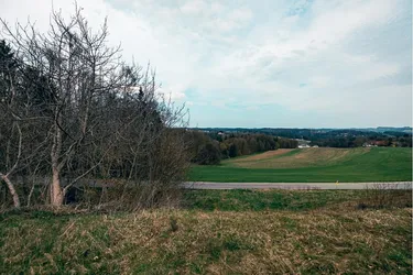Ruhiges Baugrundstück für Ein- oder Zweifamilienhaus inkl. Waldparzelle