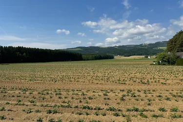 Attraktives Baugrundstück mit Entwicklungspotenzial – schöne Lage in St. Marein Nähe Wolfsberg