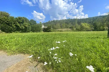Traumhaftes Baugrundstück in Rothenthurn Nähe Spittal/Drau – Berg- und Grünblick!