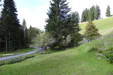 Ferienhütte auf der Koralpe zu verkaufen!