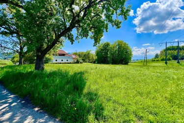 IDYLLISCHES BAUGRUNDSTÜCK NÄHE SALZBURG ! - 1044 m² - WIDMUNG DORFGEBIET - KEIN BAUZWANG -