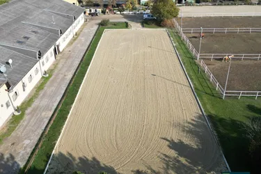 Exklusive Reitsportanlage vor den Toren Wiens – 145 Boxen | Reithallen | Reitplätze | Koppeln | Villa &amp; Personalwohnungen